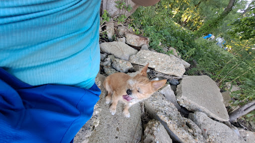 Historical Place «Fort Howard Park», reviews and photos, 9500 North Point Rd, Fort Howard, MD 21052, USA