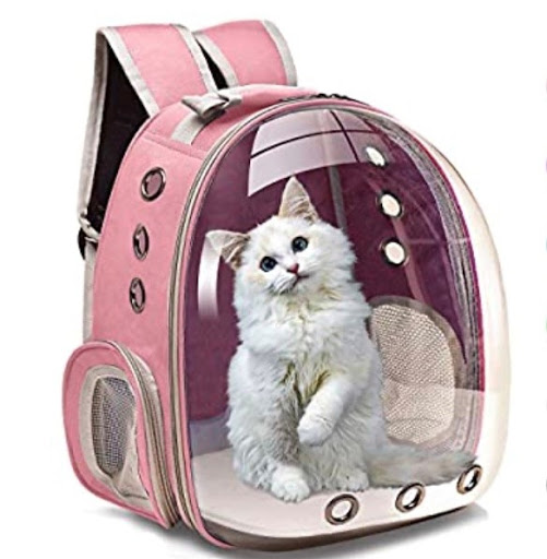 Pet Groomer «The Pet Set - Buckhead», reviews and photos, 2480 Briarcliff Rd NE #3, Atlanta, GA 30329, USA