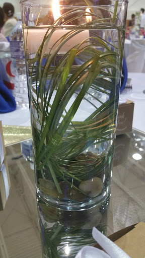 Community Center «Damascus Community Center», reviews and photos, 25520 Oak Dr, Damascus, MD 20872, USA