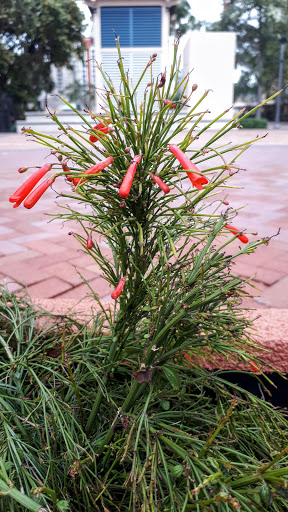 Historical Place «Historic Stranahan House Museum», reviews and photos, 335 SE 6th Ave, Fort Lauderdale, FL 33301, USA