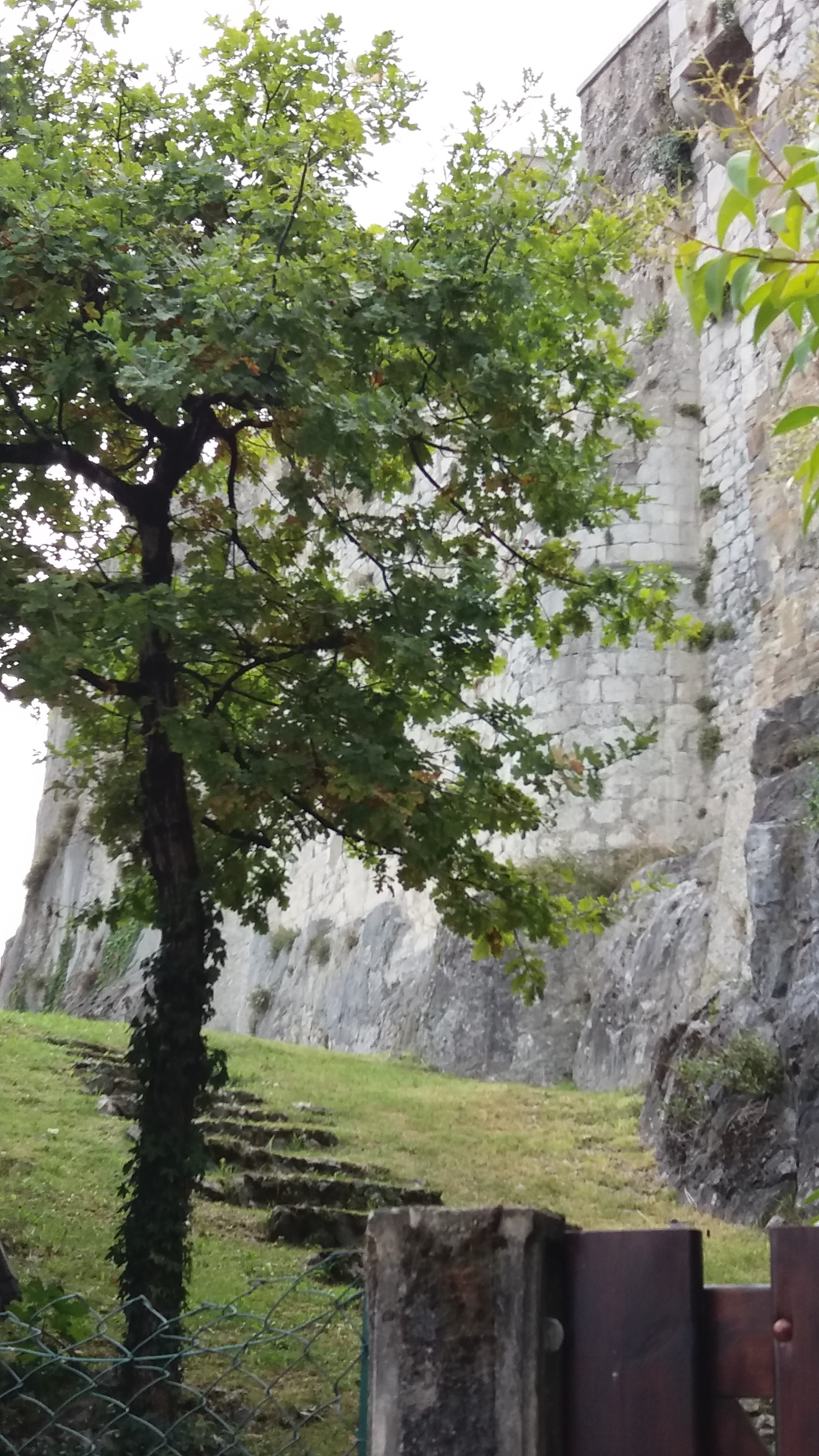 Photo n° 2 de l'avis de nicolas.a fait le 16/09/2018 à 01:31