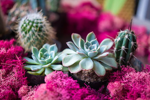 Florist «Stacy K Floral», reviews and photos, 43 Russell St, Rochester, NY 14607, USA