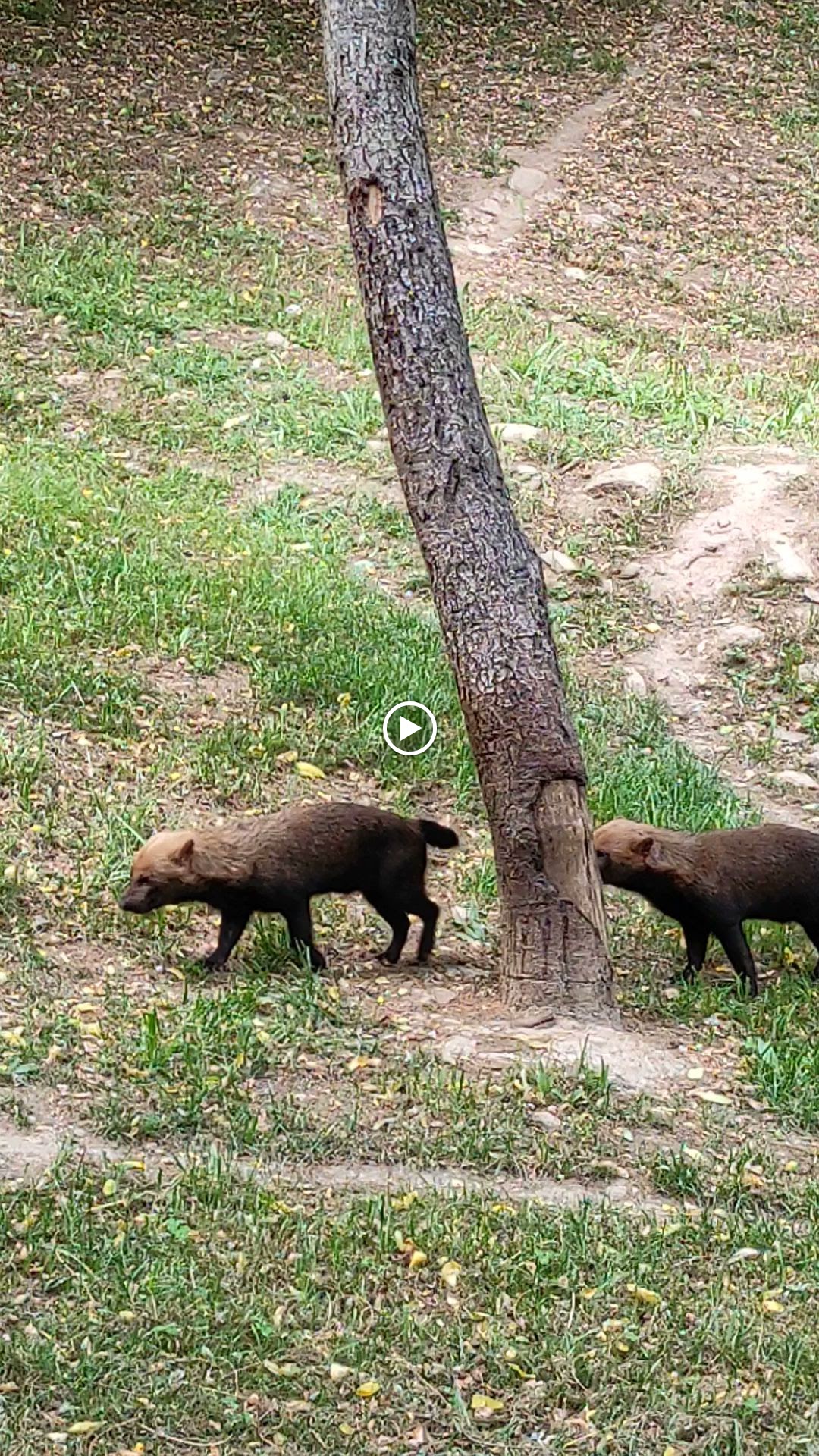 Photo n° 8 de l'avis de Nathalys.a fait le 28/07/2023 à 09:37