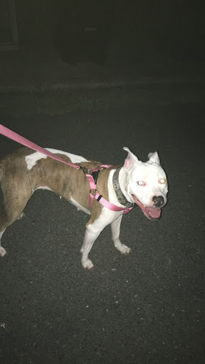 Pet Supply Store «Pet Supplies Plus», reviews and photos, 3120 NJ-35, Hazlet, NJ 07730, USA