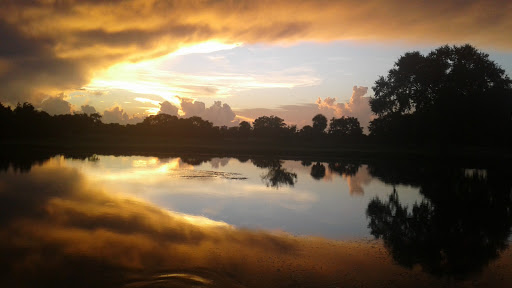 Golf Course «The Tides Golf Club», reviews and photos, 11832 66th Ave N, Seminole, FL 33772, USA