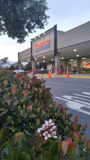 Costco Wholesale image