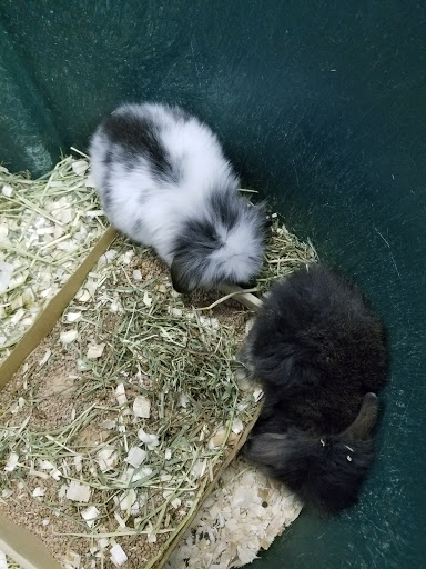 Pet Store «Pet Station Reno», reviews and photos, 5065 S McCarran Blvd, Reno, NV 89502, USA