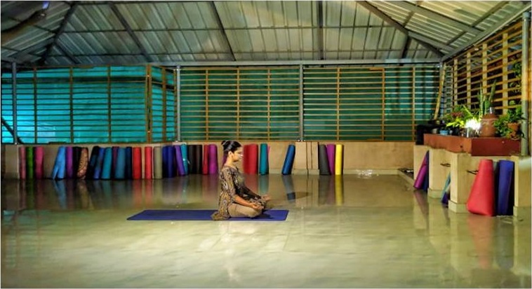 Yoga Vidhya Kendram - Online Yoga Classes