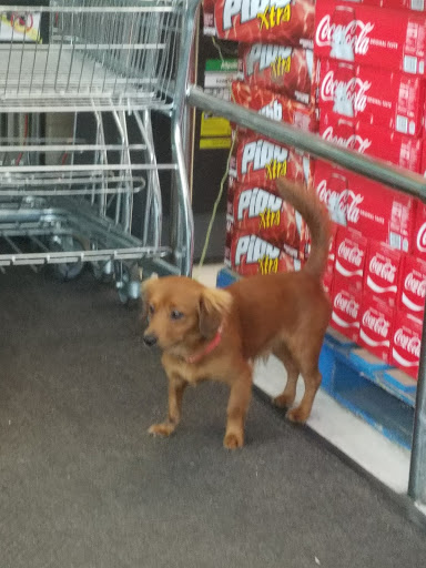 Grocery Store «Harveys Supermarket», reviews and photos, 777 N Market St, Jacksonville, FL 32202, USA