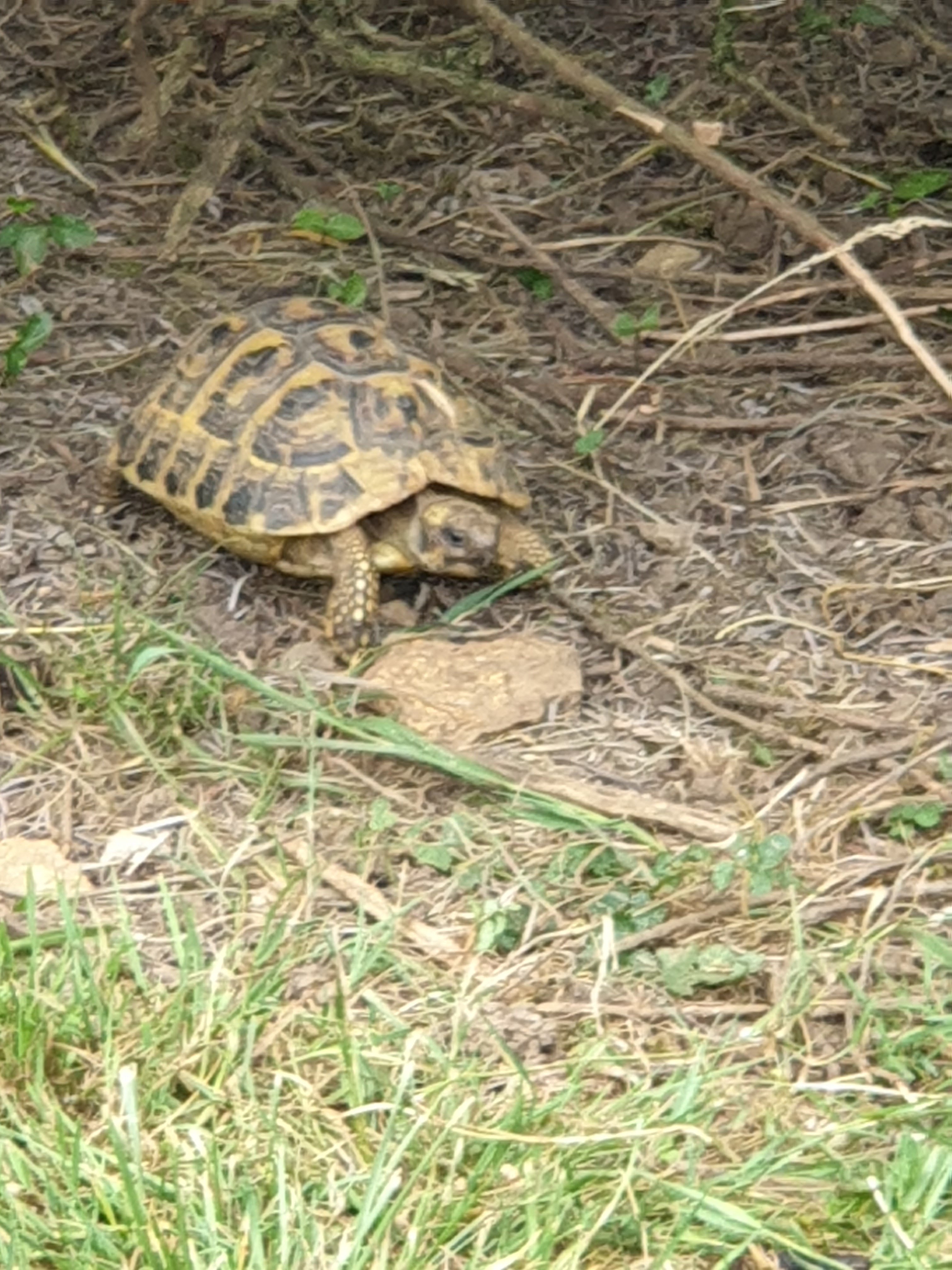 Photo n° 9 de l'avis de BN.s fait le 26/05/2022 à 17:33