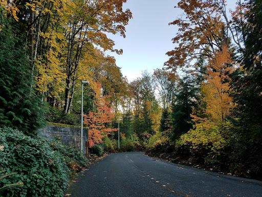 Community Center «South Bellevue Community Center», reviews and photos, 14509 SE Newport Way, Bellevue, WA 98006, USA