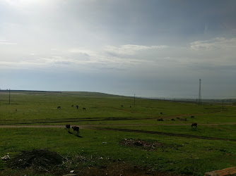 Yukarı Salat İlköğretim Okulu