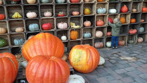 Garden Center «Nalls Produce», reviews and photos, 7310 Beulah St, Alexandria, VA 22315, USA