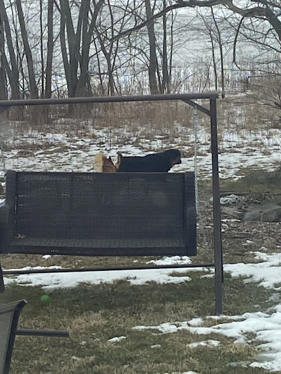 Morrow County Dog Shelter