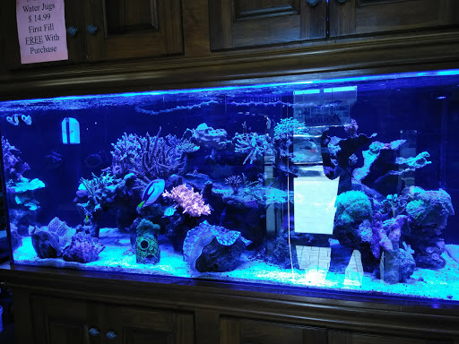Aquarium Shop «Exotic Aquariums», reviews and photos, 7399 Bird Rd, Miami, FL 33155, USA