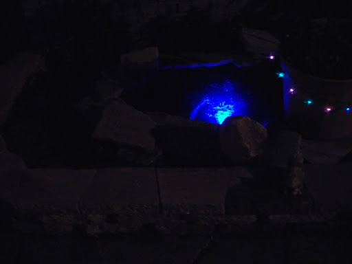 Aquarium Shop «Something Fishy Inc.», reviews and photos, 4764 State Rd, Cleveland, OH 44109, USA