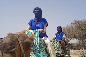 Agadir camel and horse riding image