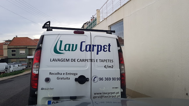 Lav Carpet - Loures