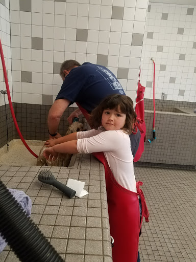 Pet Supply Store «Pet Food Express», reviews and photos, 5829 Lone Tree Way, Antioch, CA 94531, USA