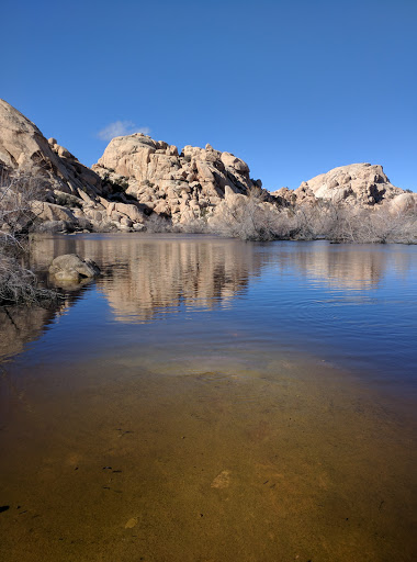 National Park «Joshua Tree National Park», reviews and photos