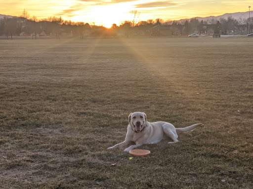 Park «Art Dye», reviews and photos, 550 E 1000 N, American Fork, UT 84003, USA