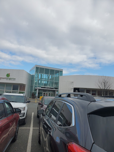 Explore thin line tattoo ideas, creative tattoo ideas in Peabody, available at Banter by Piercing Pagoda