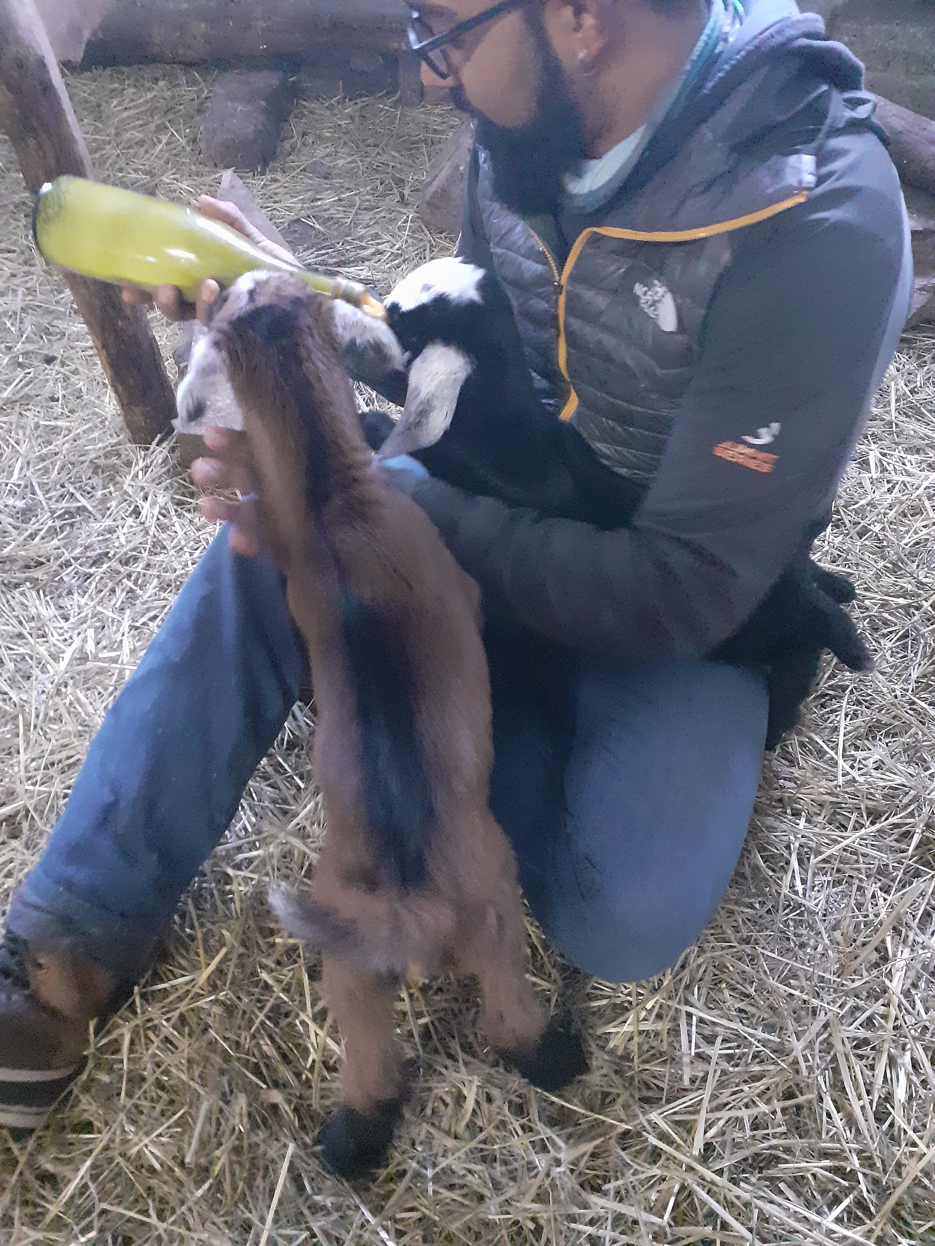 Photo n° 1 de l'avis de Yves.a fait le 07/02/2021 à 06:54