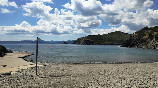 Platja Rovellada