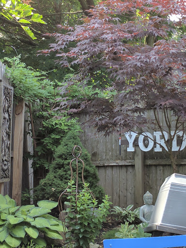 Coffee Shop «Yordprom Coffee Shop», reviews and photos, 722 Congress St, Portland, ME 04102, USA