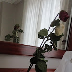 Photo n°1 de l'avis de Rhyno555. fait le 26/01/2024 à 15:17 sur le  Hotel Astoria, Sure Hotel Collection by Best Western à Milan