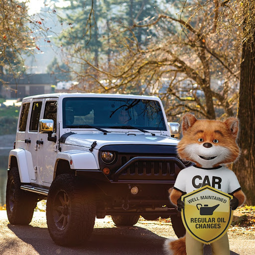 Used Car Dealer «AMS Cars», reviews and photos, 9185 W 10th St, Indianapolis, IN 46234, USA