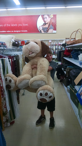 Thrift Store «Savers», reviews and photos