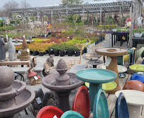 Forever Green Inc. - Photo 6 - Car repair in Coralville, IA, Iowa City