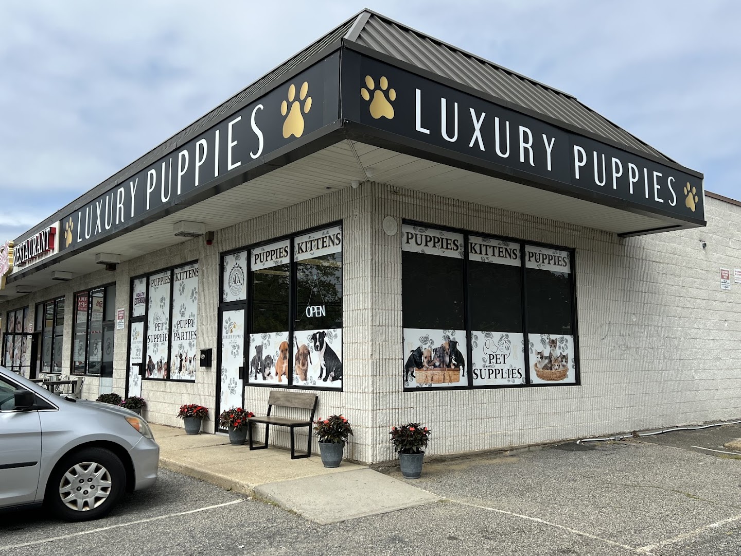 Luxury Puppies