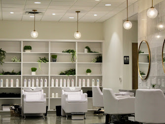 Allie Scott Hair Studio