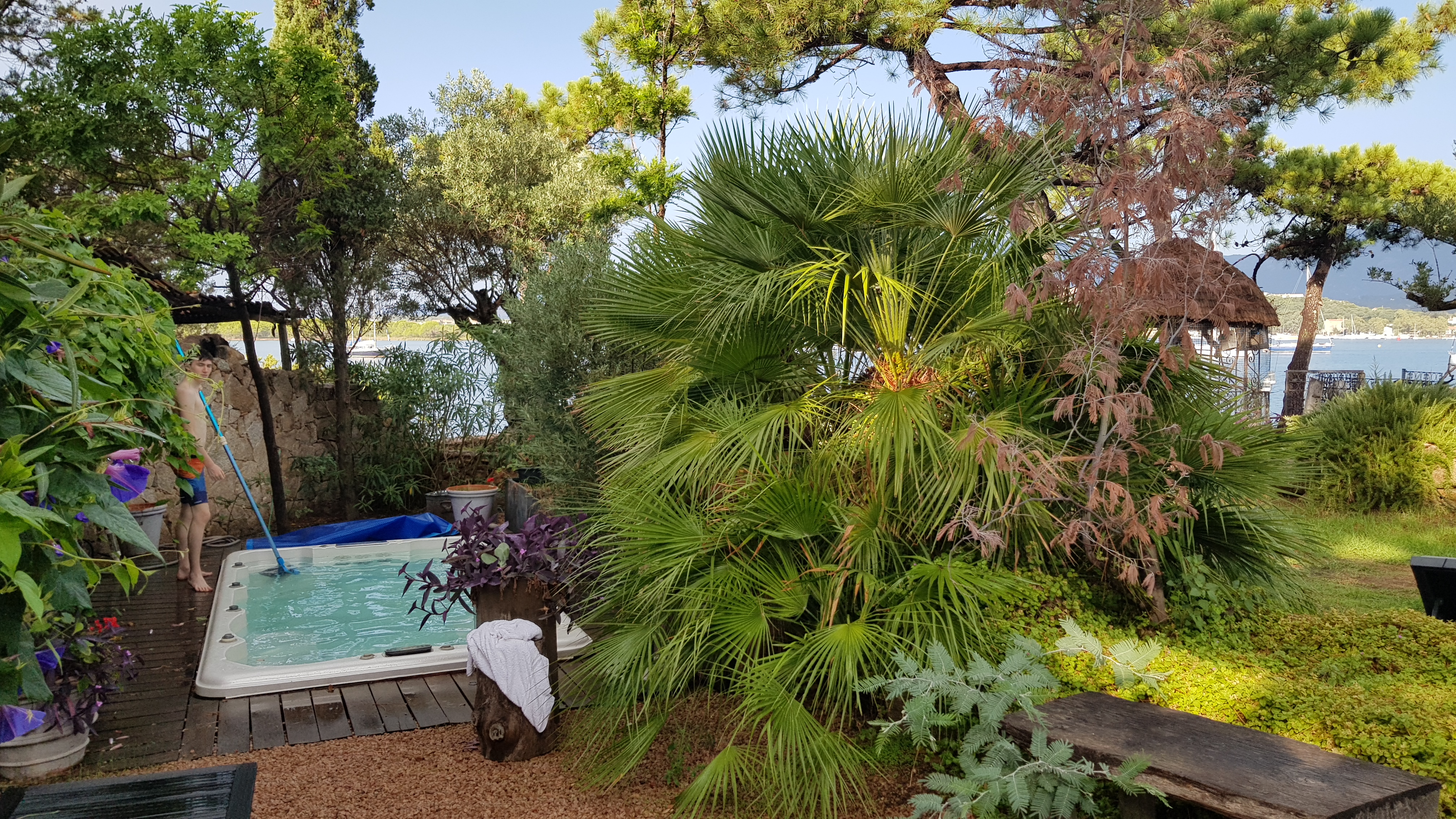 Photo n° 2 de l'avis de Pascal.l fait le 20/09/2020 à 15:22