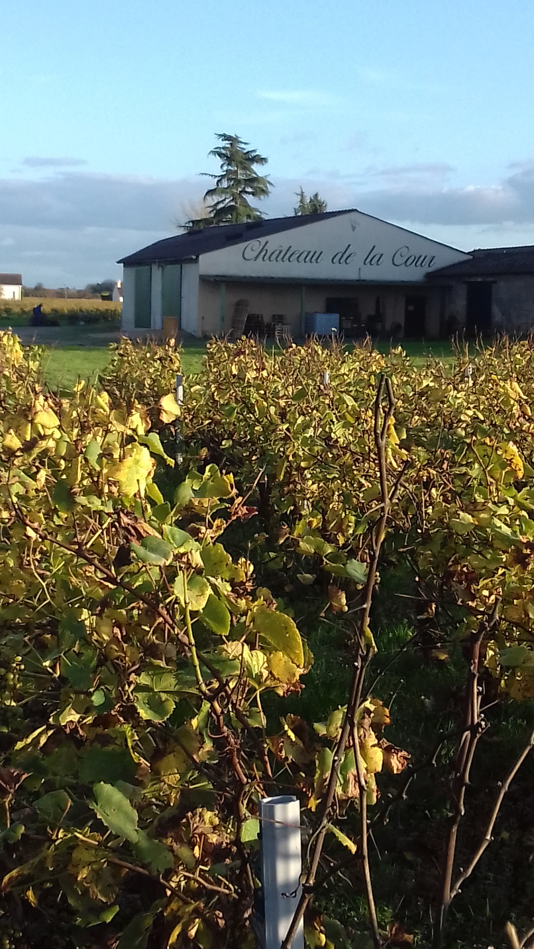 Photo n° 2 de l'avis de Sandra.A fait le 30/10/2017 à 15:52