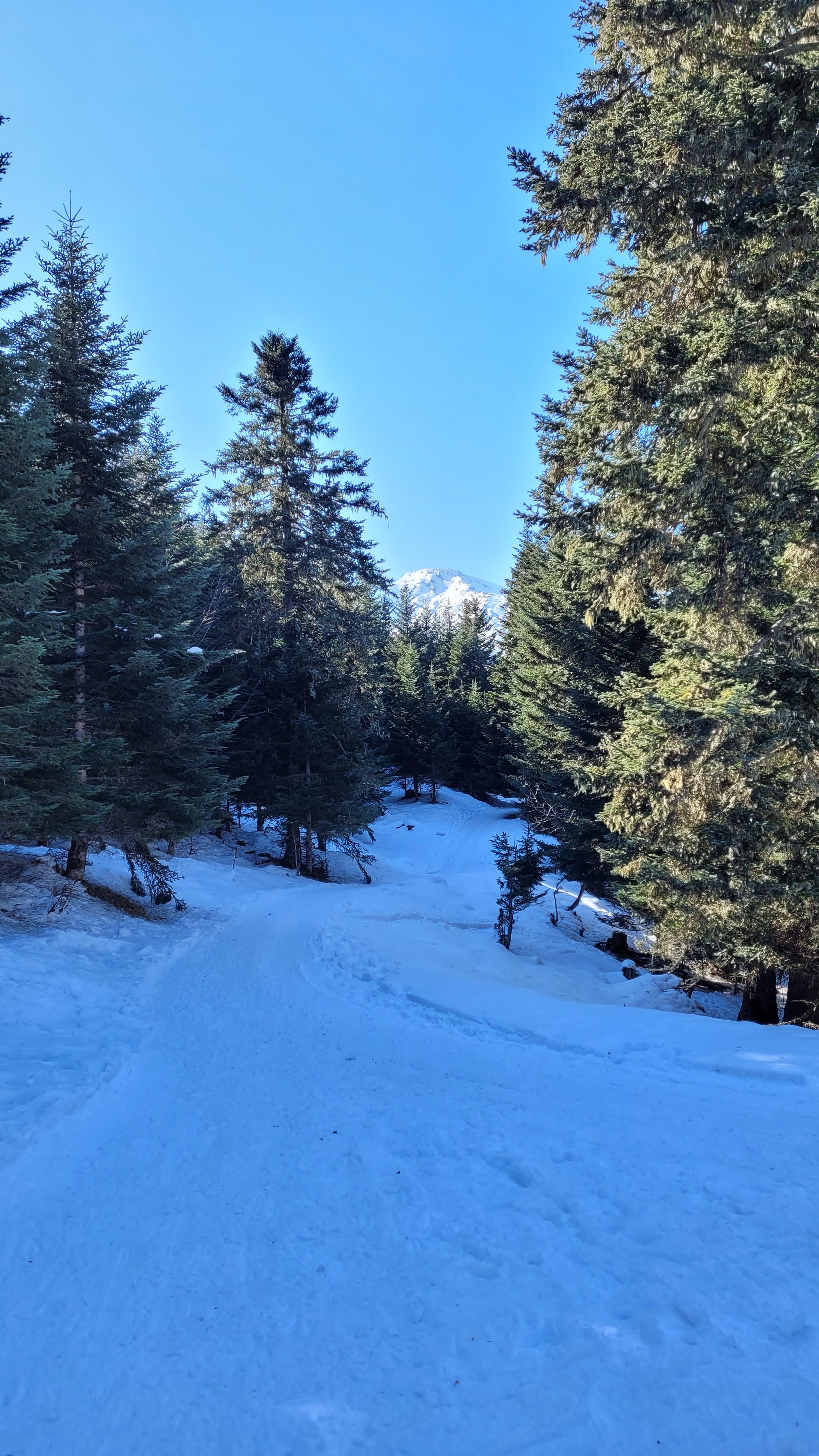 Photo n° 1 de l'avis de Sébastien. fait le 16/02/2023 à 19:36
