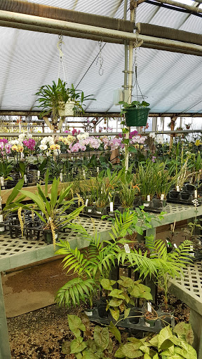 Florist «Little Brook Orchids», reviews and photos, 25 Rider Ave, Lancaster, PA 17603, USA