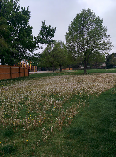 Park «Hilltop Park», reviews and photos, 3242 S Richfield St, Aurora, CO 80013, USA