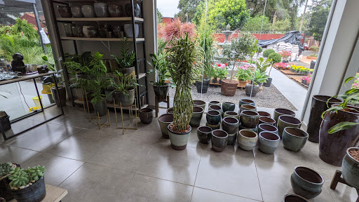 Cheap nurseries Asuncion