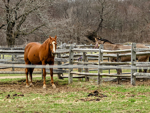 Park «Caumsett State Park», reviews and photos, 25 Lloyd Harbor Rd, Lloyd Harbor, NY 11743, USA