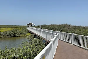 South Padre Island Birding And Nature Center image