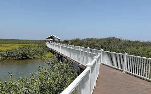 South Padre Island Birding And Nature Center image