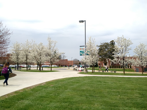Universidad de Michigan Oriental