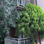 Photo n°4 de l'avis de Josephine.a fait le 23/07/2023 à 07:50 sur le  Hotel Garni Ischia à Malcesine