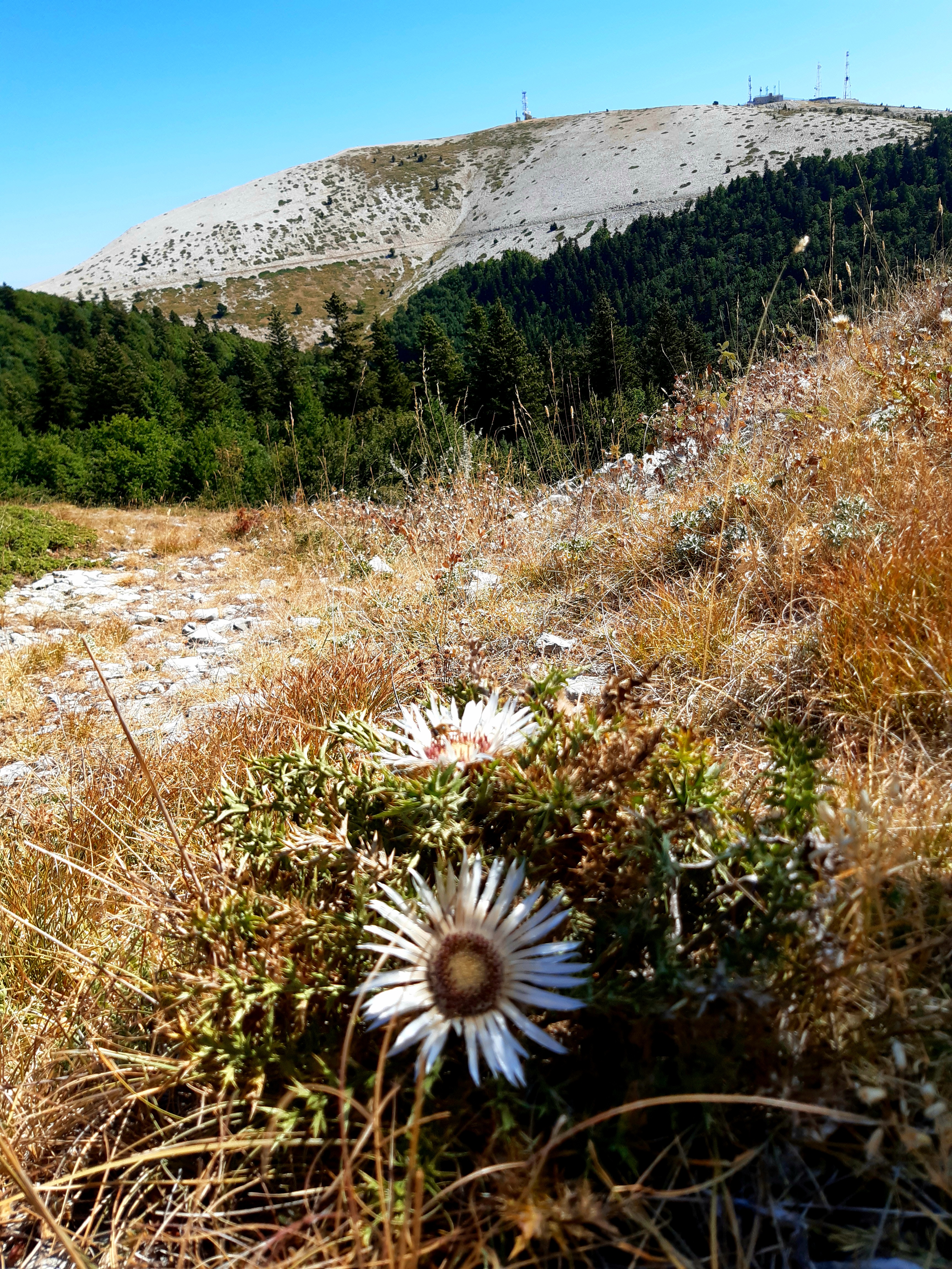 Photo n° 4 de l'avis de Laure.o fait le 14/08/2020 à 13:35