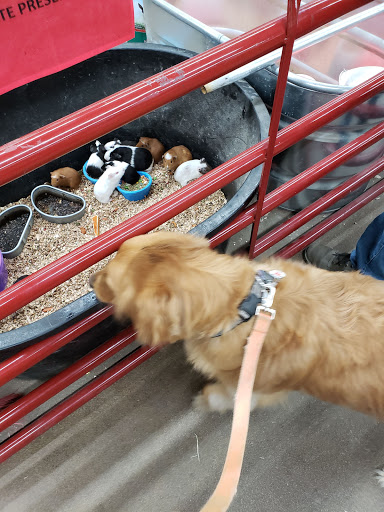 Department Store «Rural King», reviews and photos, 23625 US-23, Circleville, OH 43113, USA