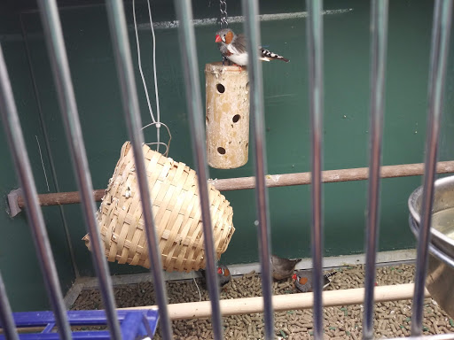 Pet Supply Store «Pet Club Santa Rosa», reviews and photos, 1935 Santa Rosa Ave, Santa Rosa, CA 95407, USA