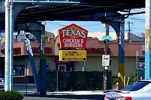 Tex’s Chicken & Burgers image